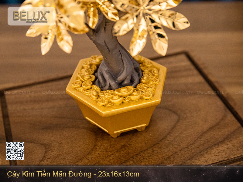 Cây kim tiền mãn đường dat vàng